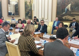 José Antonio Rovira durante la Conferencia Sectorial. De espaldas, Pilar Alegría.