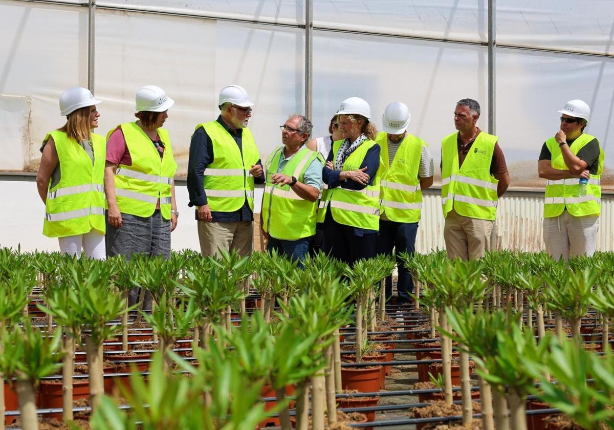 Vivero de Torrent con la comitiva en la visita de obras este jueves.