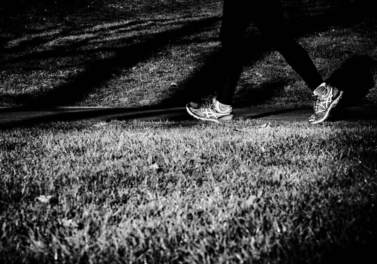 LA EXPERIENCIA ESTÉTICA DE CAMINAR