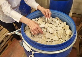 Teselas hexagonales Nolla que estaban en el área Infantil, Maternidad y Laboratorios del antiguo hospital La Fe de Valencia.