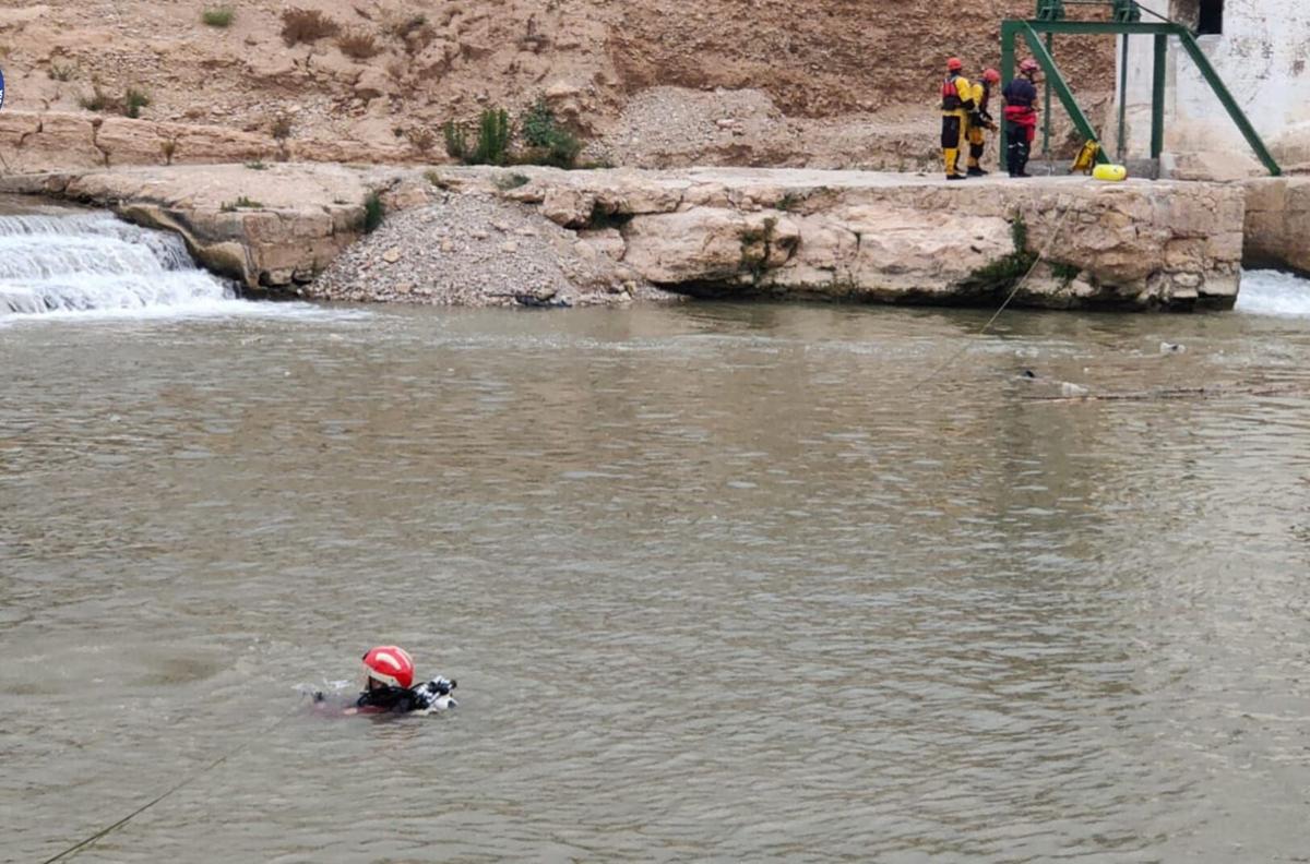 Búsqueda del desaparecido en el río Turia este domingo.