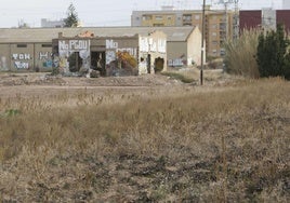 Un campo de cultivo abandonado.