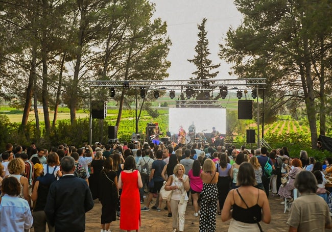 Las bodegas acogen actividades musicales.