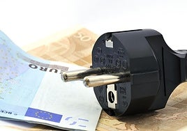 Clavija de un enchufe eléctrico y billetes de euros