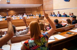 Pleno de la Diputación.