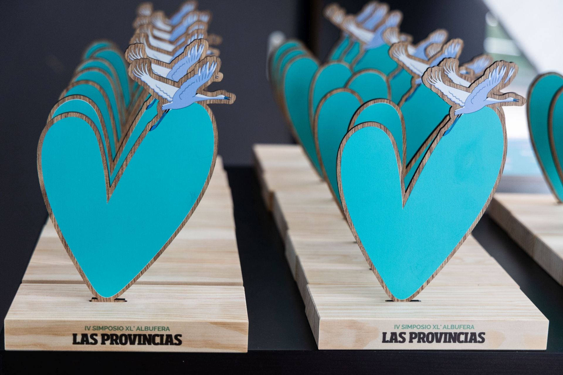 IV Simposio de LAS PROVINCIAS en defensa de la Albufera