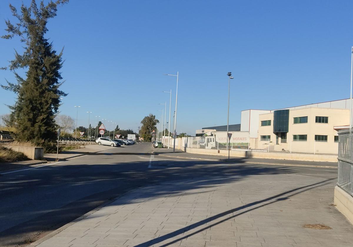 Polígono de Cotes de Algemesí.