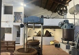 Museo del aceite de Altura.