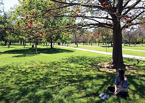 Antiguo cauce del Turia