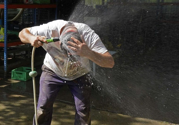 Un trabajador combate las altas temperaturas durante su jornada laboral mojándose la cabeza con una manguera, imagen de archivo.