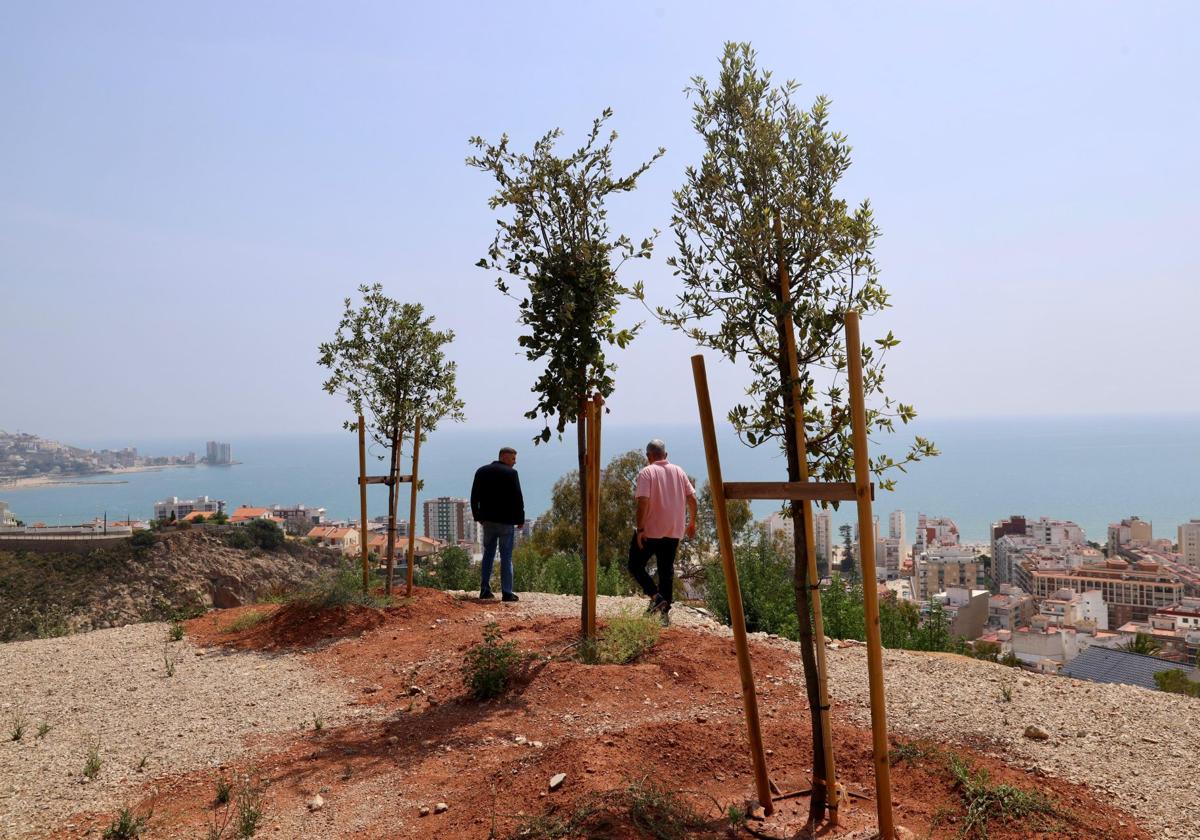 Nuevo mirador en Cullera.
