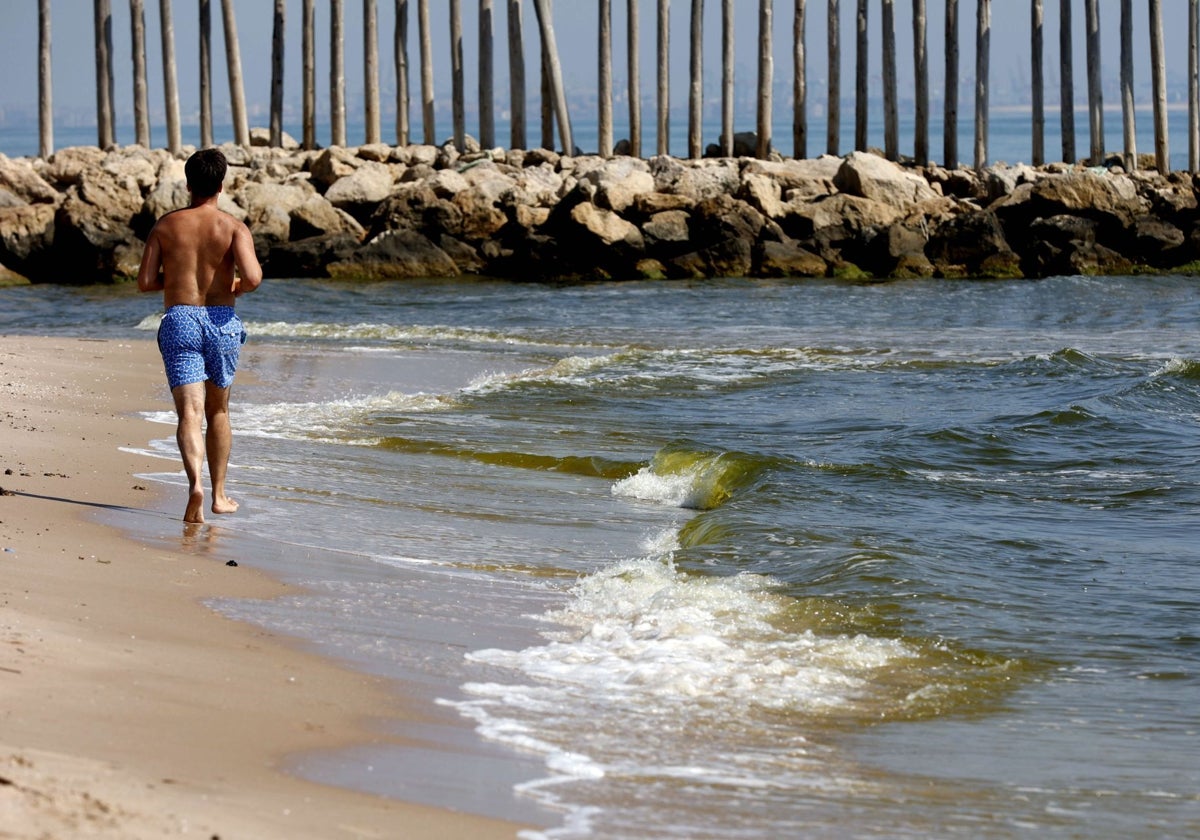 Un bañista junto a las aguas teñidas de verde de las playas de la Albufera.