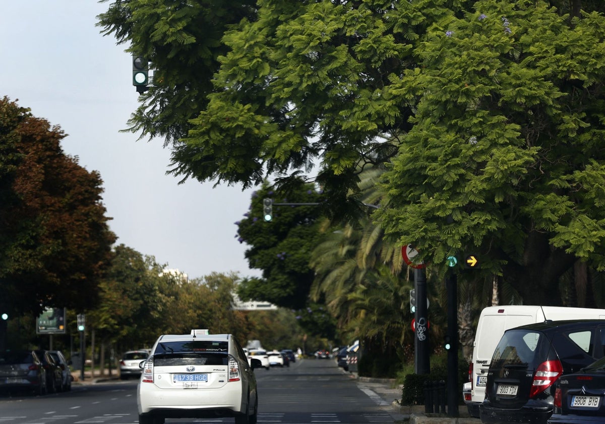 Tráfico en la avenida Blasco Ibáñez de Valencia.
