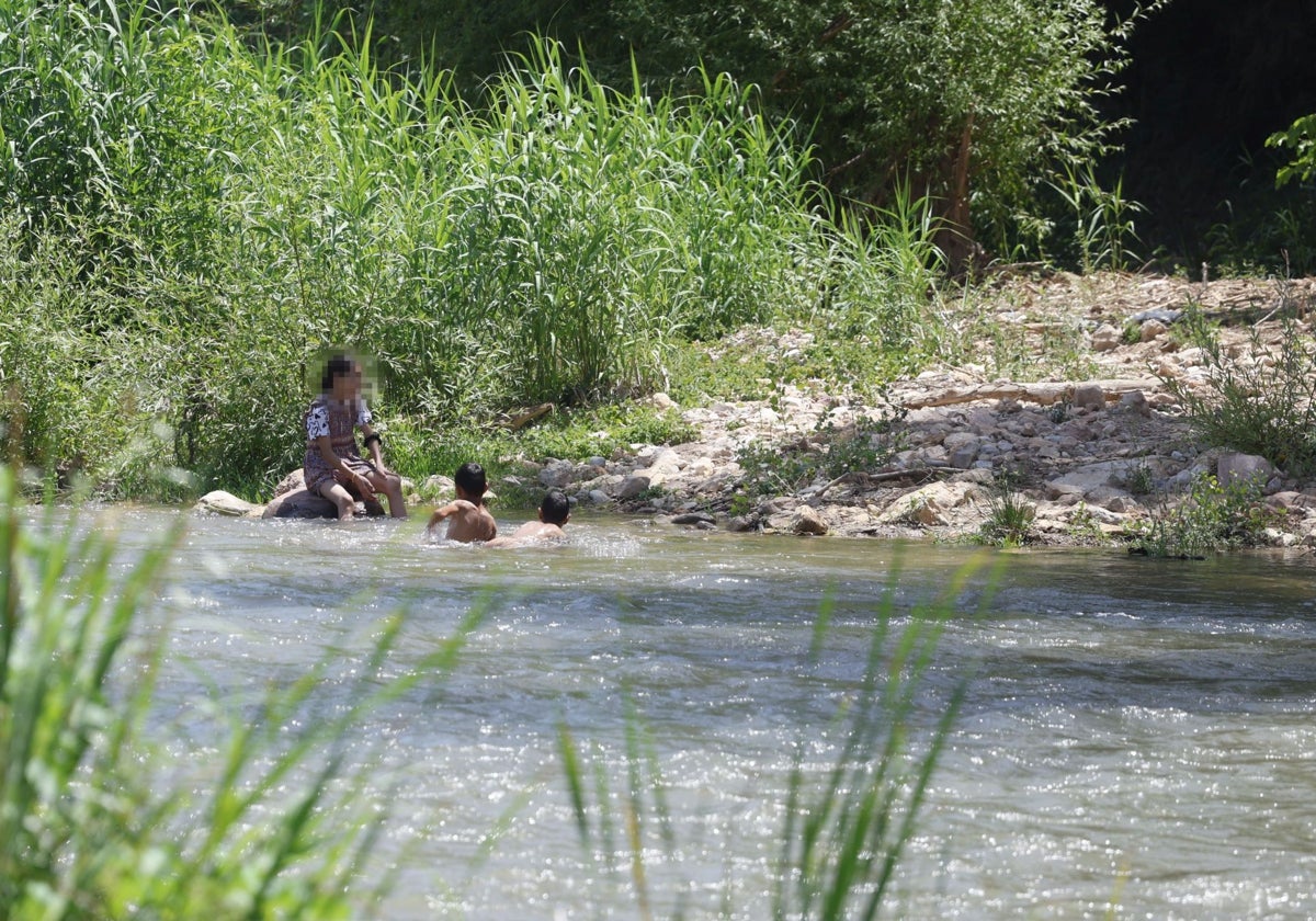 Un grupo de niños se baña en el Turia.