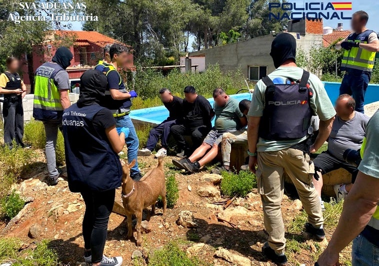 Un grupo de policías y agentes de Vigilancia Aduanera junto a varios de los detenidos.