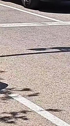 Accidente de tranvía en Valencia