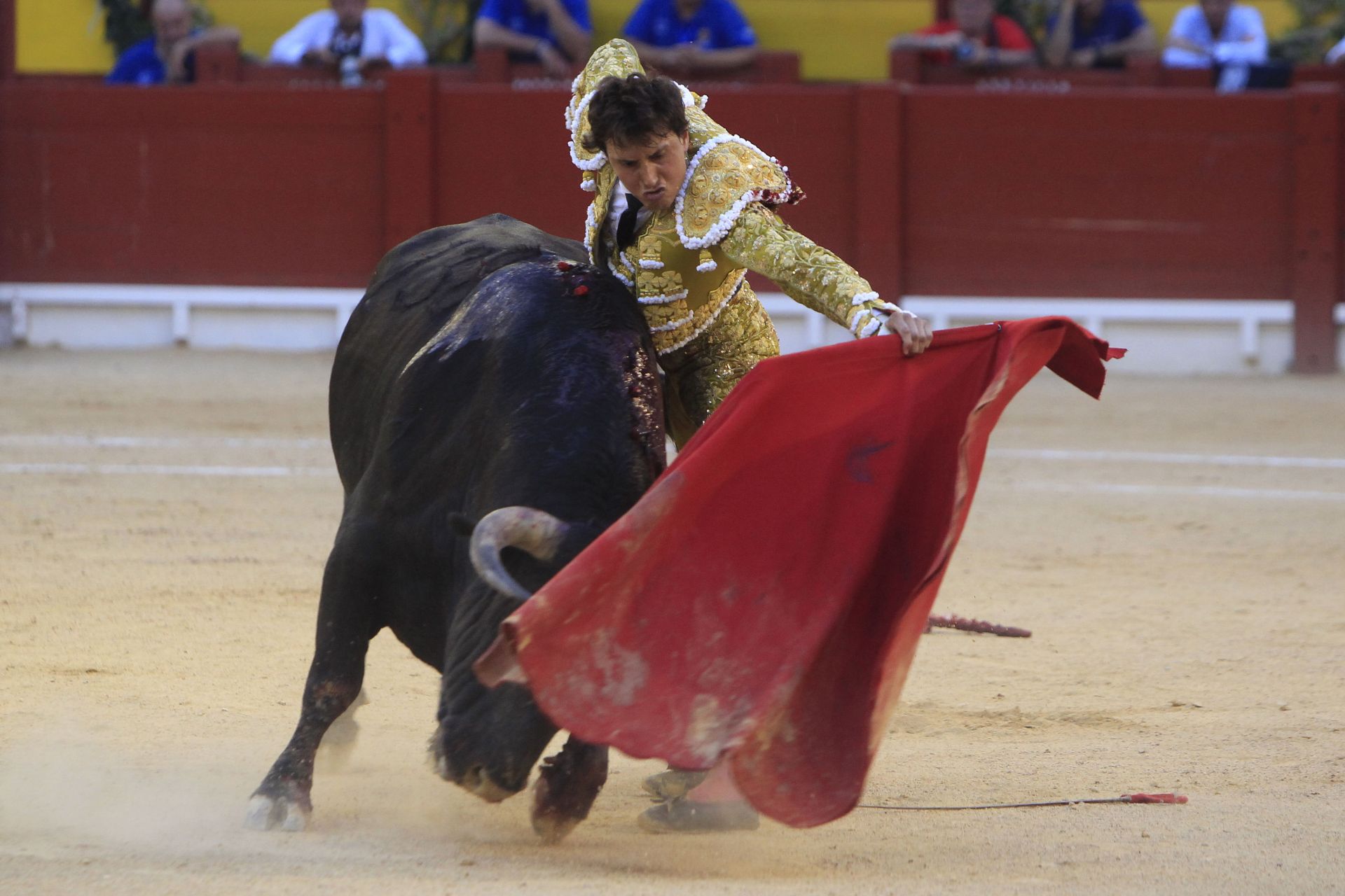 FOTOS | Toros en Alicante: Roca Rey, Manzanares y Navalón