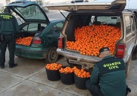 Agentes de la Guardia Civil revisan dos coches con naranjas robadas.