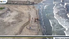 Zona de la playa de Venecia donde se produjo el incidente.