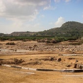 Zona colmatada de sedimentos en un tramo de l'Horteta.