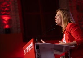 La delegada del Gobierno en la Comunitat y líder del PSPV de Valencia, Pilar Bernabé.