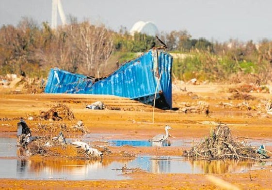 El Consell creará un macroparque en la zona cero para mitigar otra dana