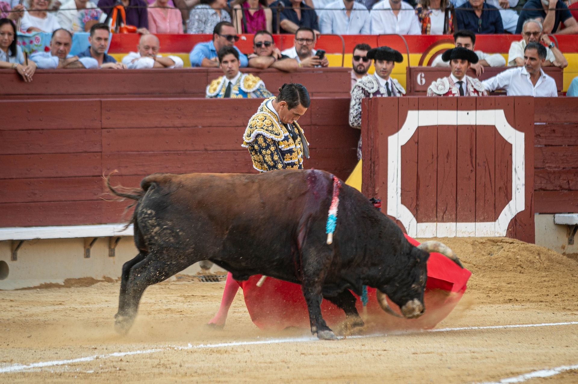 La plaza de toros de Castellón se viste de gala en su homenaje a Manuel Colonques