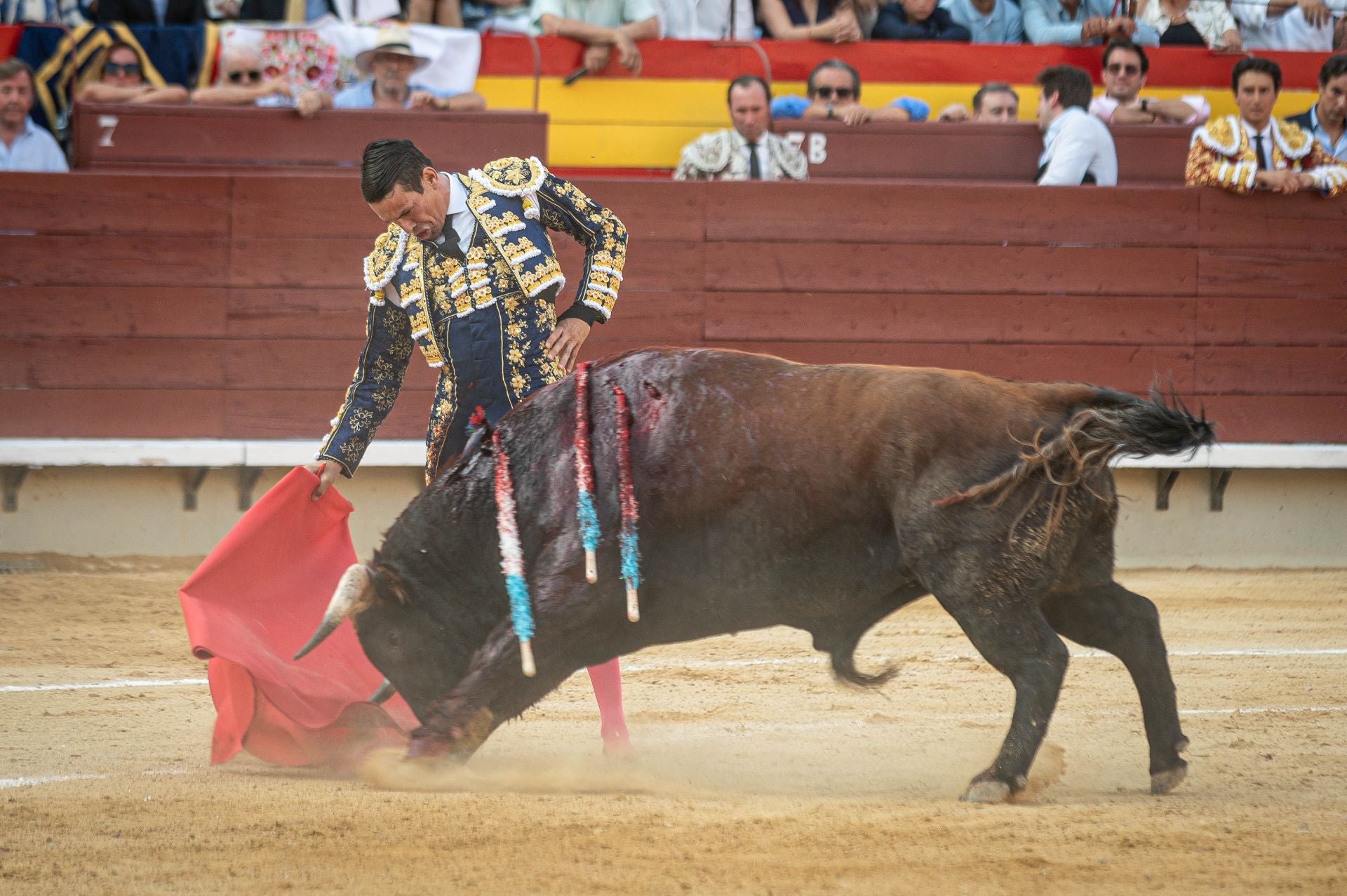 La plaza de toros de Castellón se viste de gala en su homenaje a Manuel Colonques
