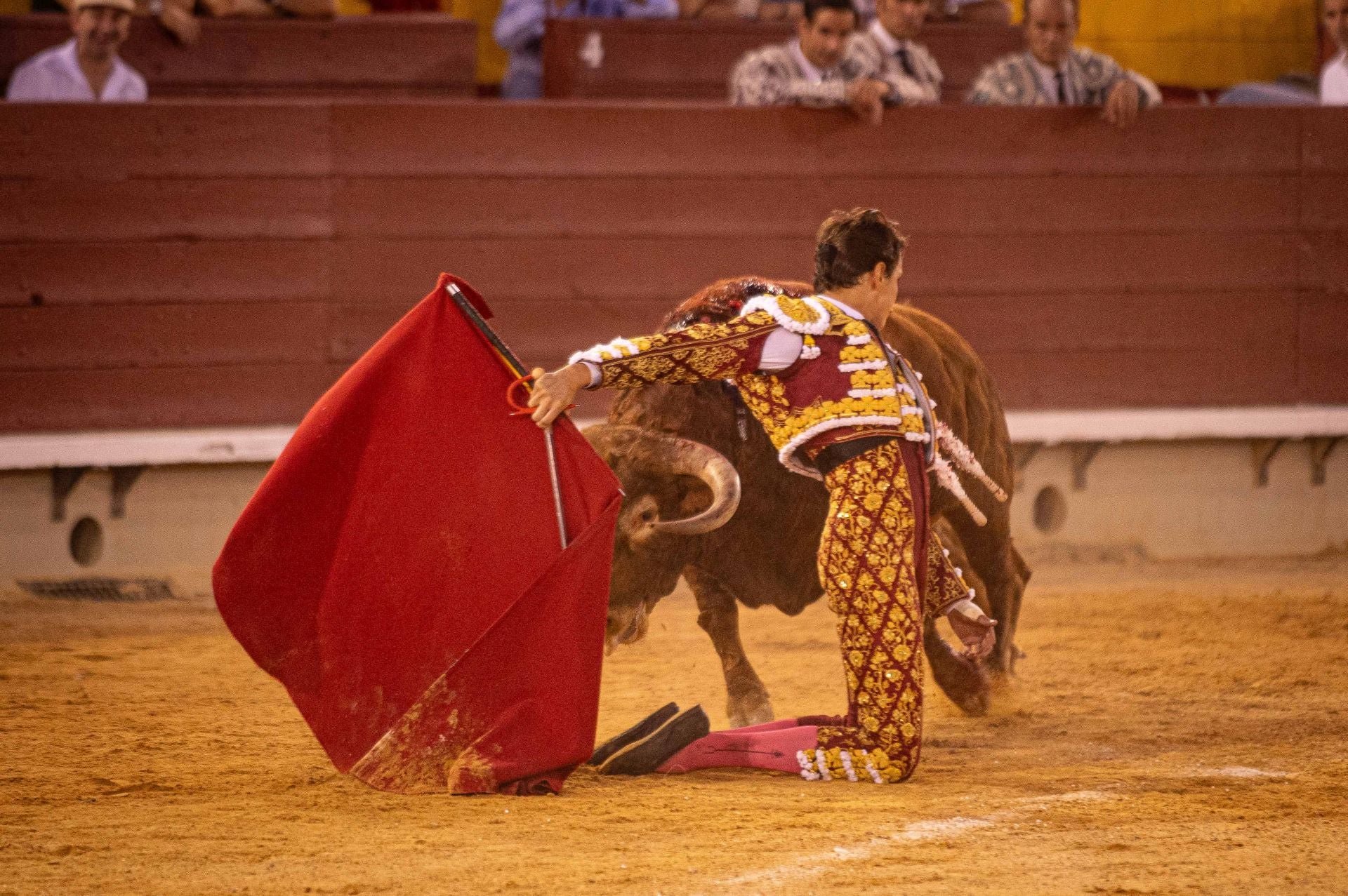 La plaza de toros de Castellón se viste de gala en su homenaje a Manuel Colonques