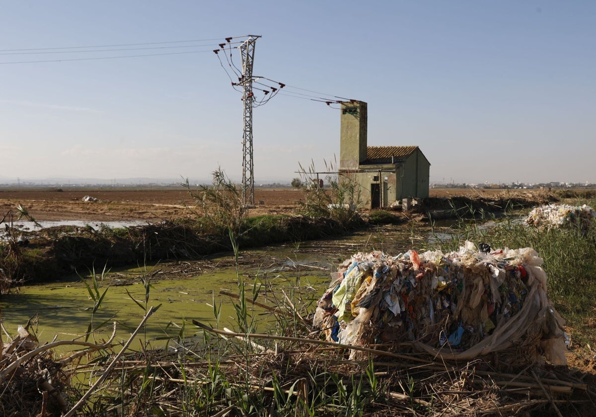 Devastación de la riada en la Albufera.
