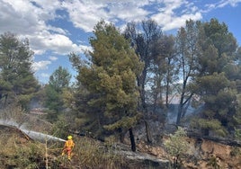 Los bomberos han colaborado en el control del incendio.