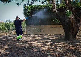 Fumigación en una zona de Torrent.
