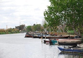 VAERSA y su compromiso en la conservación y divulgación del Parque Natural de l'Albufera de Valencia