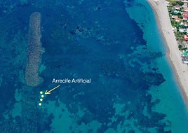 En los puntos amarillos es donde se propone crear el arrecige artificial.