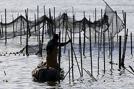 Imagen de archivo de un pescador en la Albufera.