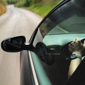 Ola de calor en España: el truco japonés para refrescar el coche en menos de un minuto