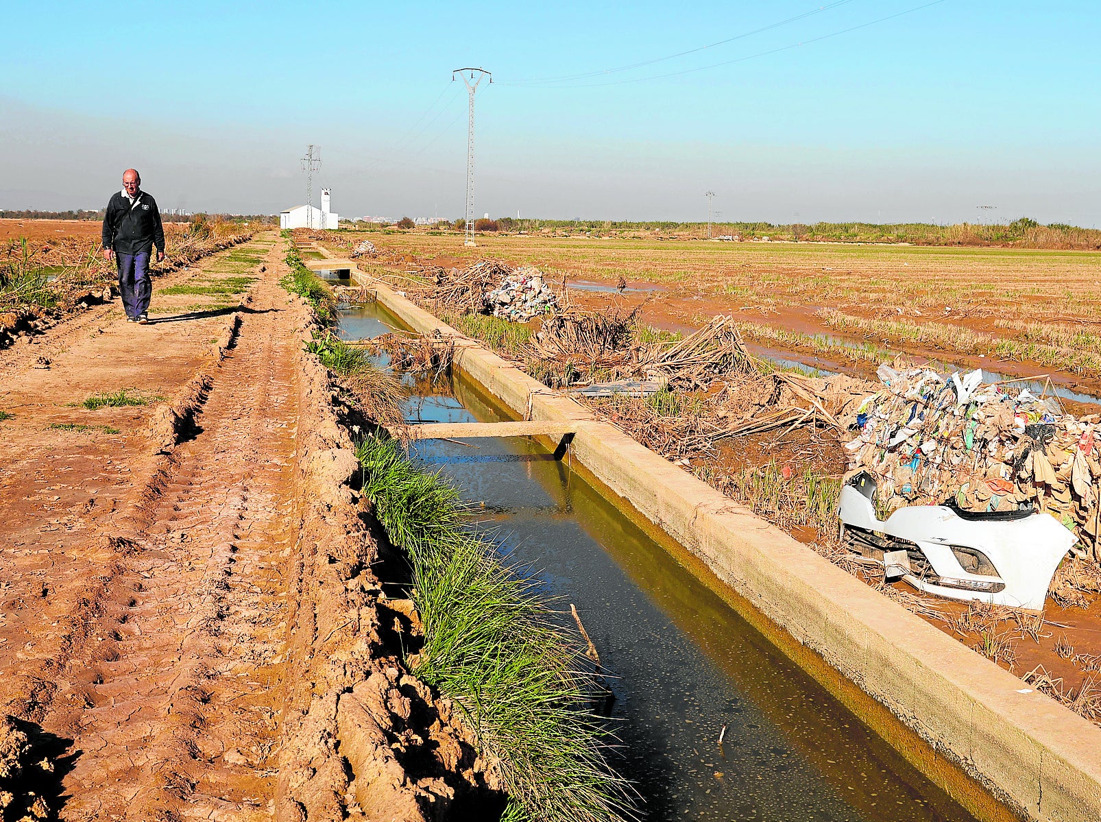 Restos de la dana, acumulados alrededor de una acequia de la Albufera.