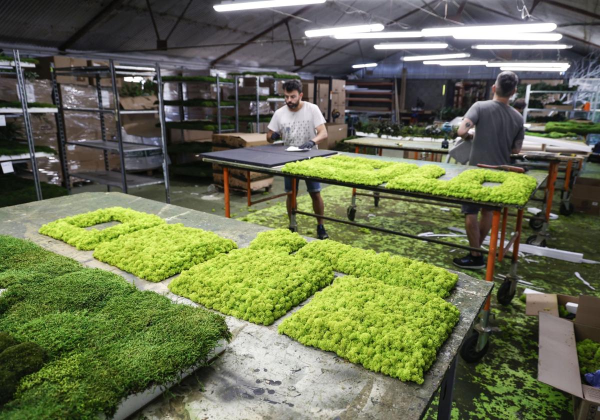 Diseño verde de interiores