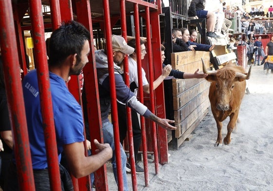Una celebración de bous al carrer.