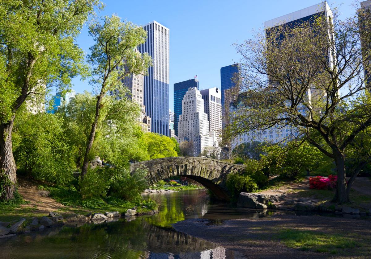 Imagen de archivo de Central Park, Nueva York.