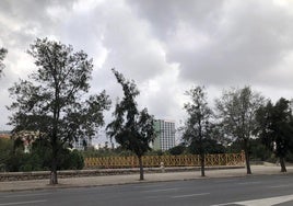 Las tormentas serán más probables por la tarde.