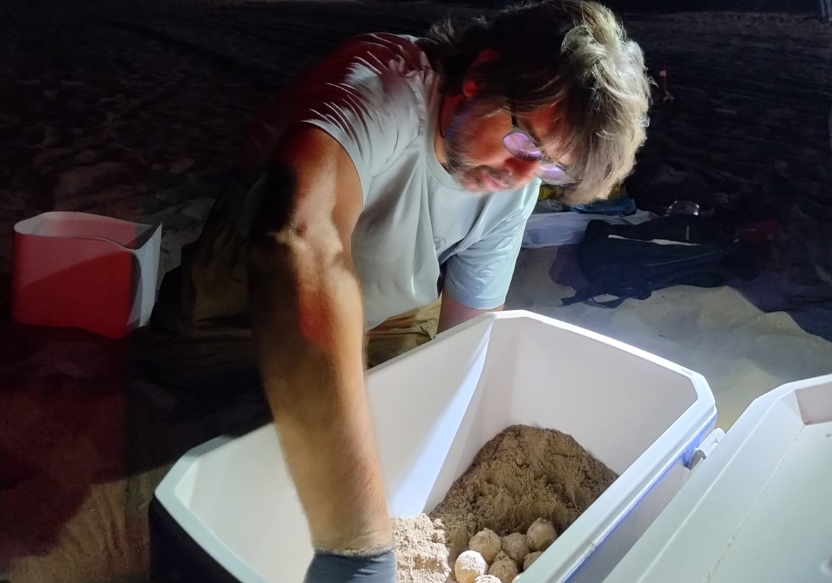 Jesús Tomás en la labor de transporte del nido