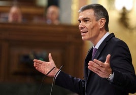 Pedro Sánchez, durante su intervención este miércoles en el Congreso.