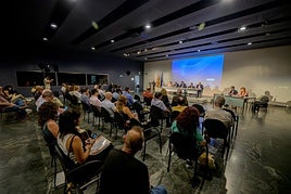 Momento de la Comisión de la dana de la Diputación.