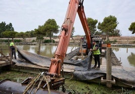 Dragado en el Puerto de Catarroja esta semana.