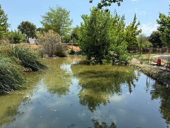 Estado actual del río Sants.