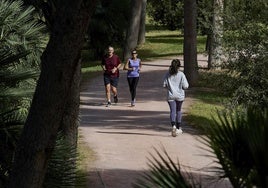 Personas corriendo por el Jardín del Turia.