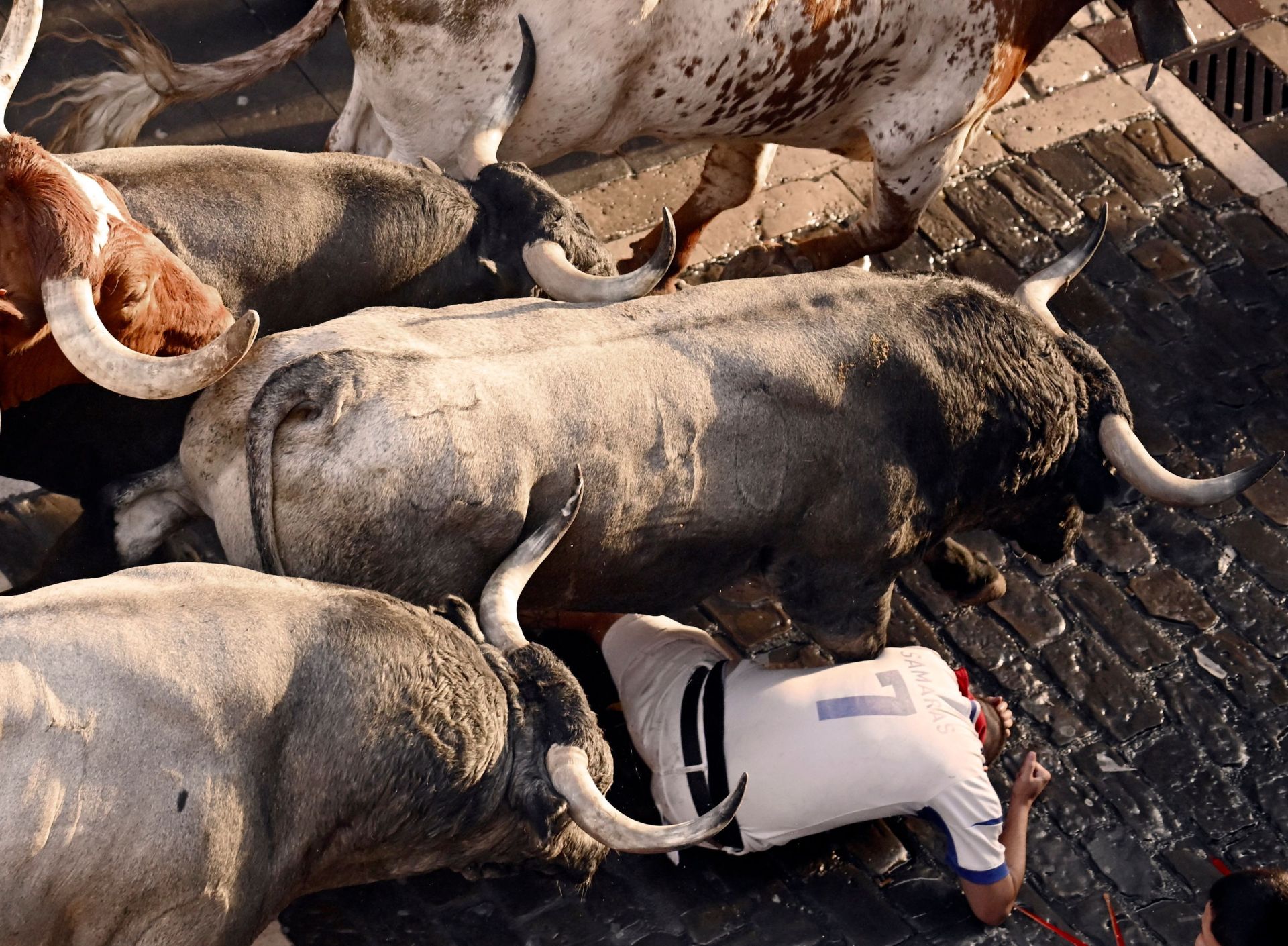 El sexto encierro de San Fermín 2025, en imágenes