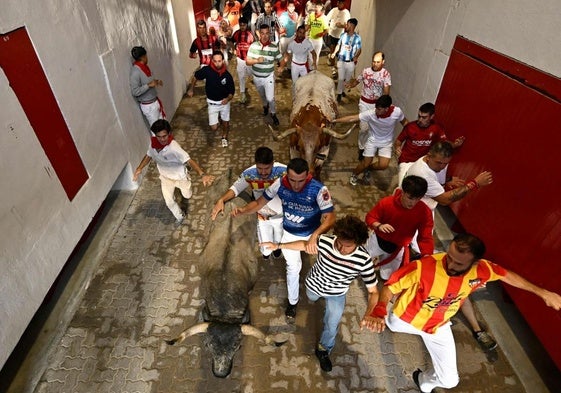 El sexto encierro de San Fermín 2025, en imágenes