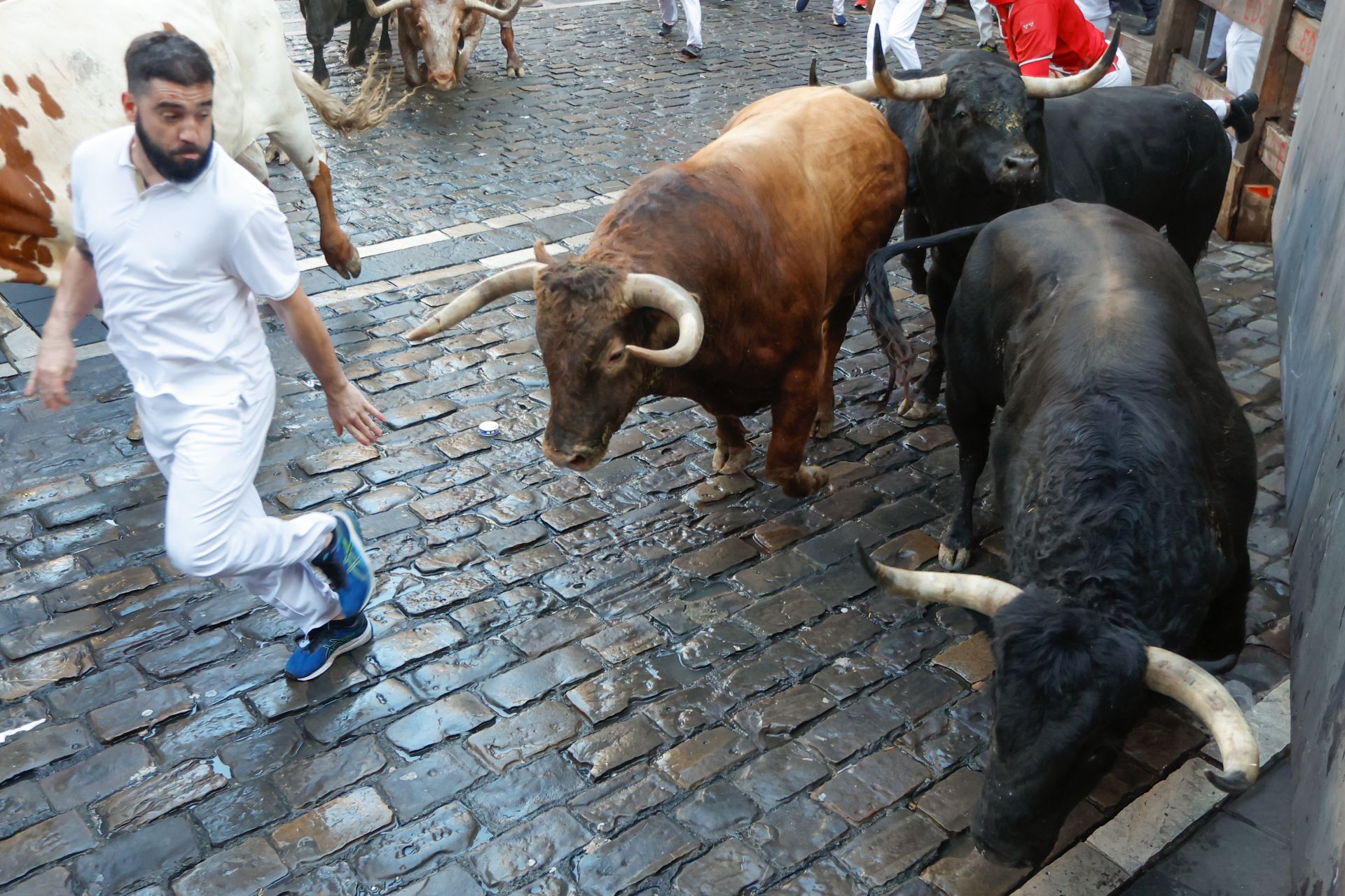 FOTOS | Séptimo encierro de San Fermín 2025